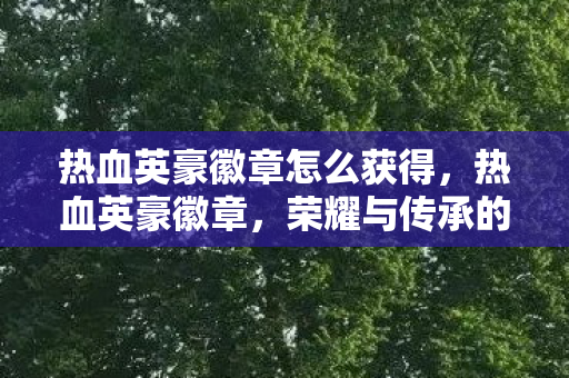 热血英豪徽章怎么获得，热血英豪徽章，荣耀与传承的见证