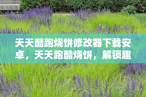 天天酷跑烧饼修改器下载安卓，天天跑酷烧饼，解锁趣味跑酷新体验