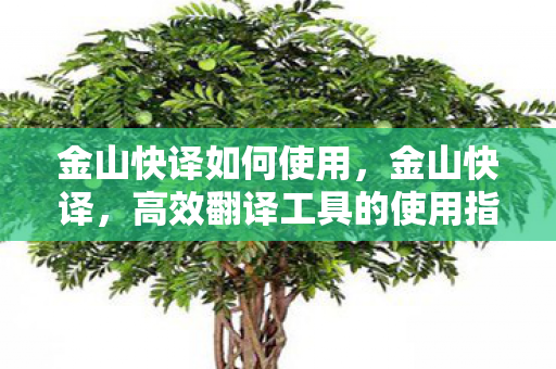 金山快译如何使用,金山快译,高效翻译工具的使用指南 金山快译如何使用,金山快译,高效翻译工具的使用指南