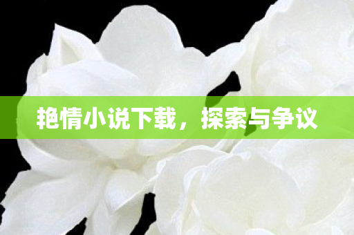 艳情小说下载，探索与争议