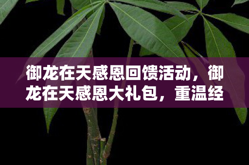 御龙在天感恩回馈活动，御龙在天感恩大礼包，重温经典，共筑回忆