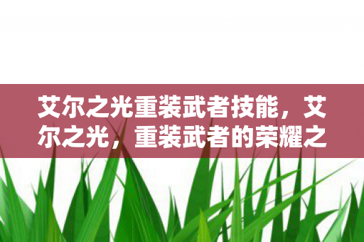 艾尔之光重装武者技能，艾尔之光，重装武者的荣耀之路