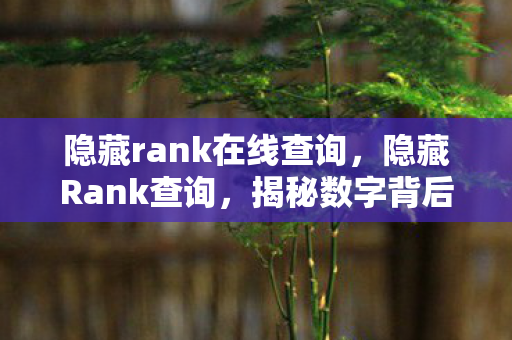 隐藏rank在线查询，隐藏Rank查询，揭秘数字背后的秘密