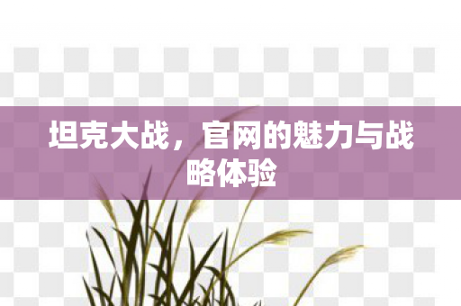 坦克大战，官网的魅力与战略体验