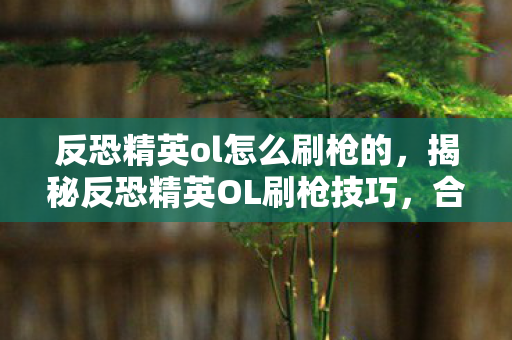 反恐精英ol怎么刷枪的，揭秘反恐精英OL刷枪技巧，合法且高效的获取方式