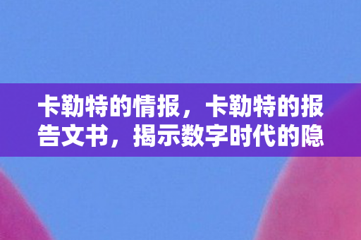 卡勒特的情报，卡勒特的报告文书，揭示数字时代的隐私挑战