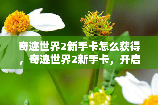 奇迹世界2新手卡怎么获得，奇迹世界2新手卡，开启你的奇幻之旅