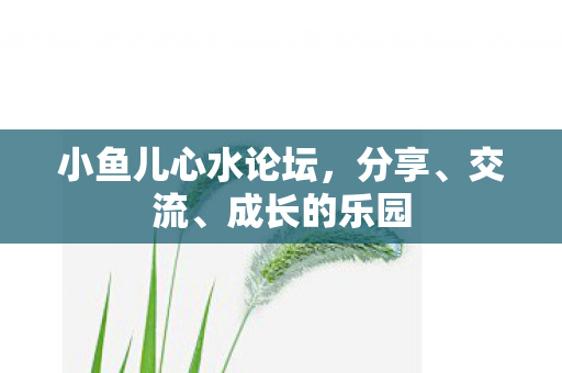 小鱼儿心水论坛，分享、交流、成长的乐园