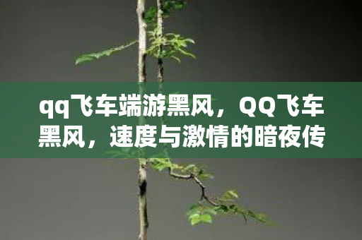 qq飞车端游黑风，QQ飞车黑风，速度与激情的暗夜传说