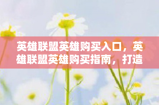 英雄联盟英雄购买入口，英雄联盟英雄购买指南，打造你的专属阵容