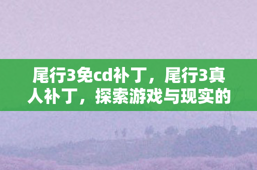 尾行3免cd补丁，尾行3真人补丁，探索游戏与现实的界限