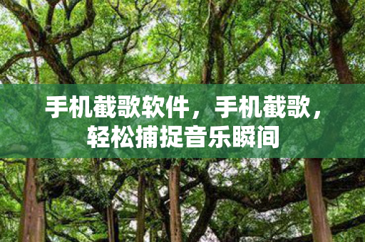 手机截歌软件，手机截歌，轻松捕捉音乐瞬间