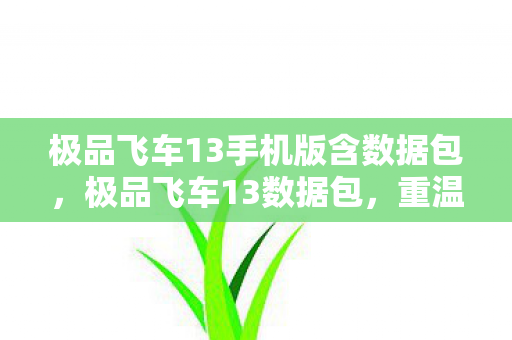 极品飞车13手机版含数据包，极品飞车13数据包，重温经典，解锁速度与激情的极致体验