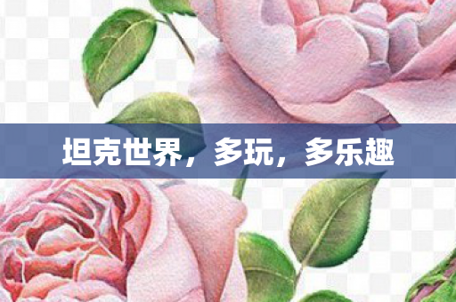 坦克世界，多玩，多乐趣