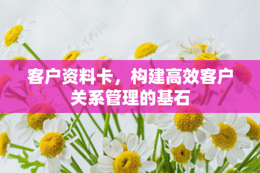 客户资料卡，构建高效客户关系管理的基石