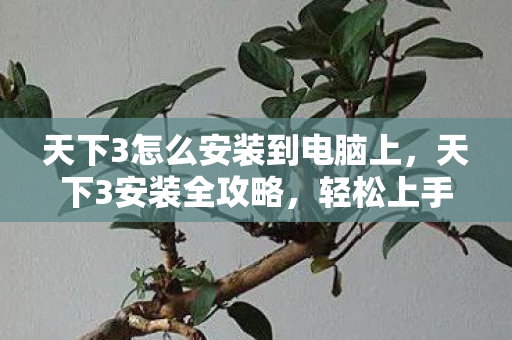 天下3怎么安装到电脑上,天下3安装全攻略,轻松上手,畅游奇幻世界 天下3怎么安装到电脑上,天下3安装全攻略,轻松上手,畅游奇幻世界