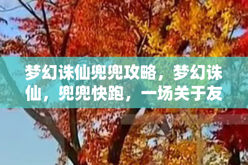 梦幻诛仙兜兜攻略，梦幻诛仙，兜兜快跑，一场关于友情与勇气的冒险