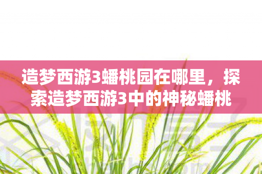 造梦西游3蟠桃园在哪里，探索造梦西游3中的神秘蟠桃园