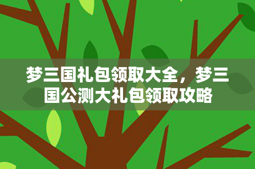 梦三国礼包领取大全，梦三国公测大礼包领取攻略