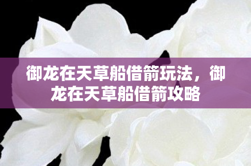 御龙在天草船借箭玩法，御龙在天草船借箭攻略