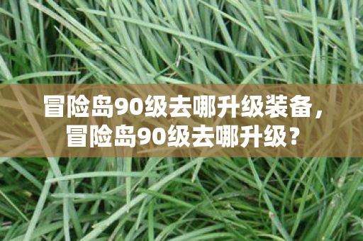 冒险岛90级去哪升级装备,冒险岛90级去哪升级? 冒险岛90级去哪升级装备,冒险岛90级去哪升级?