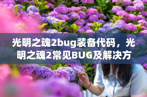 光明之魂2bug装备代码，光明之魂2常见BUG及解决方法
