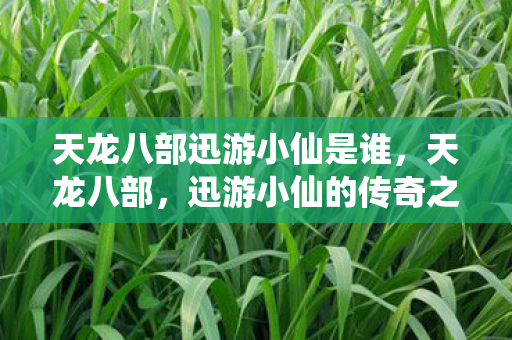 天龙八部迅游小仙是谁,天龙八部,迅游小仙的传奇之旅 天龙八部迅游小仙是谁,天龙八部,迅游小仙的传奇之旅