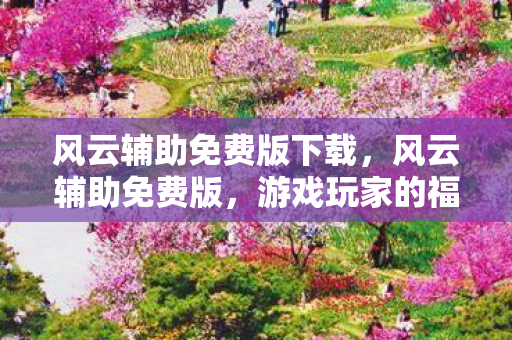 风云辅助免费版下载，风云辅助免费版，游戏玩家的福音