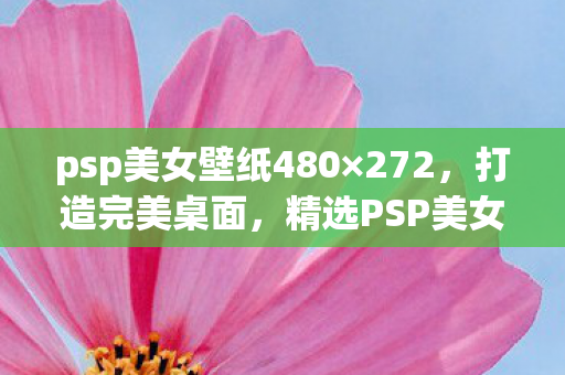 psp美女壁纸480×272，打造完美桌面，精选PSP美女壁纸