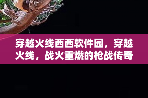 穿越火线西西软件园，穿越火线，战火重燃的枪战传奇