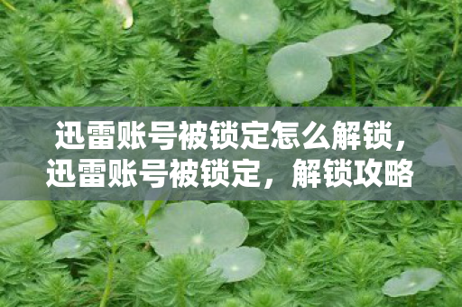 迅雷账号被锁定怎么解锁,迅雷账号被锁定,解锁攻略与预防措施 迅雷账号被锁定怎么解锁,迅雷账号被锁定,解锁攻略与预防措施