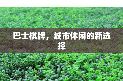 巴士棋牌，城市休闲的新选择