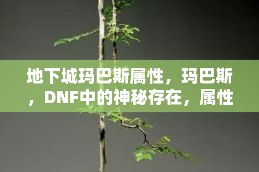 地下城玛巴斯属性，玛巴斯，DNF中的神秘存在，属性详解