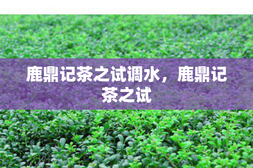 鹿鼎记茶之试调水，鹿鼎记茶之试