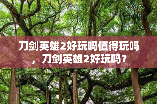 刀剑英雄2好玩吗值得玩吗，刀剑英雄2好玩吗？