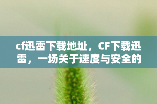 cf迅雷下载地址,CF下载迅雷,一场关于速度与安全的较量 cf迅雷下载地址,CF下载迅雷,一场关于速度与安全的较量