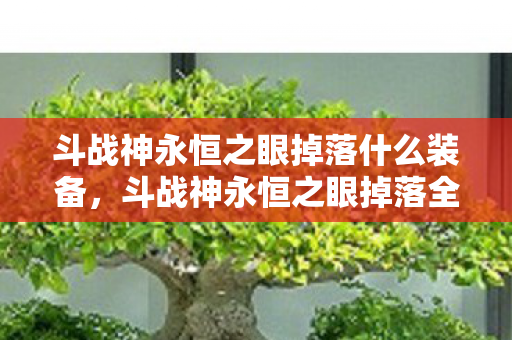 斗战神永恒之眼掉落什么装备,斗战神永恒之眼掉落全解析 斗战神永恒之眼掉落什么装备,斗战神永恒之眼掉落全解析