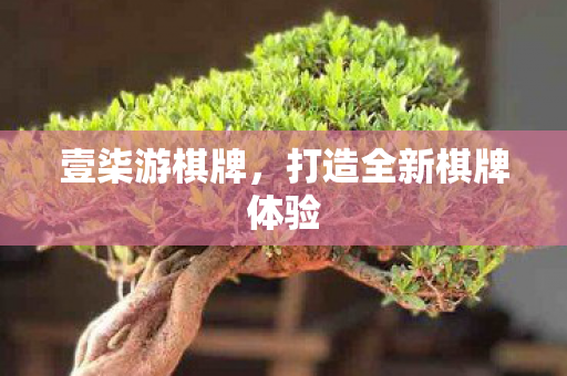 壹柒游棋牌，打造全新棋牌体验