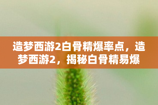 造梦西游2白骨精爆率点，造梦西游2，揭秘白骨精易爆点图，助你轻松通关