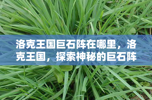 洛克王国巨石阵在哪里，洛克王国，探索神秘的巨石阵