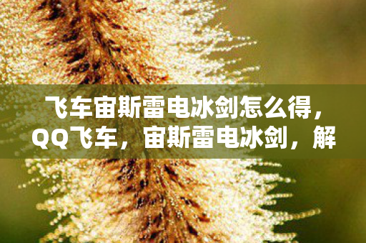 飞车宙斯雷电冰剑怎么得，QQ飞车，宙斯雷电冰剑，解锁极速新境界