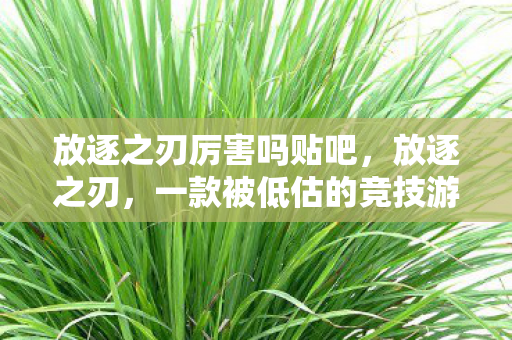 放逐之刃厉害吗贴吧，放逐之刃，一款被低估的竞技游戏利器