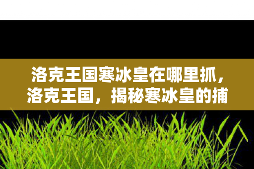 洛克王国寒冰皇在哪里抓，洛克王国，揭秘寒冰皇的捕捉地点与技巧