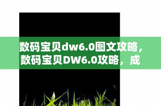 数码宝贝dw6.0图文攻略，数码宝贝DW6.0攻略，成为驯兽师大师的必备指南