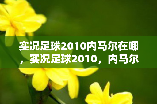 实况足球2010内马尔在哪，实况足球2010，内马尔的崛起与传奇之路