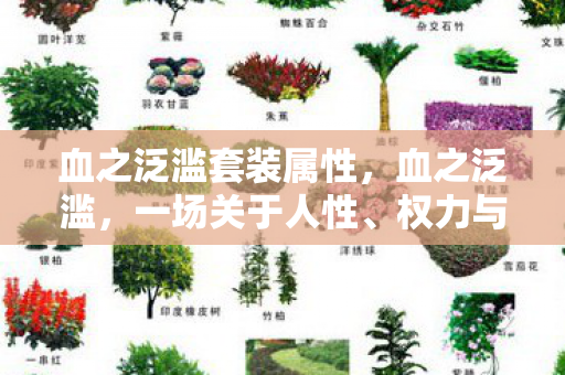 血之泛滥套装属性，血之泛滥，一场关于人性、权力与救赎的深刻探讨