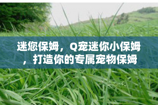 迷您保姆，Q宠迷你小保姆，打造你的专属宠物保姆