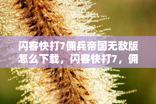 闪客快打7佣兵帝国无敌版怎么下载，闪客快打7，佣兵帝国无敌版—打造你的终极战斗帝国