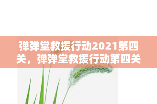 弹弹堂救援行动2021第四关，弹弹堂救援行动第四关攻略，突破难关，拯救伙伴！