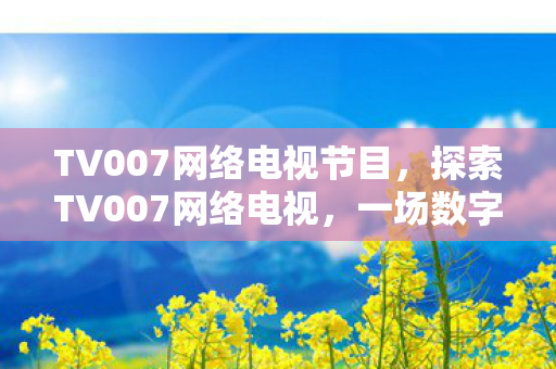 TV007网络电视节目，探索TV007网络电视，一场数字时代的视听盛宴